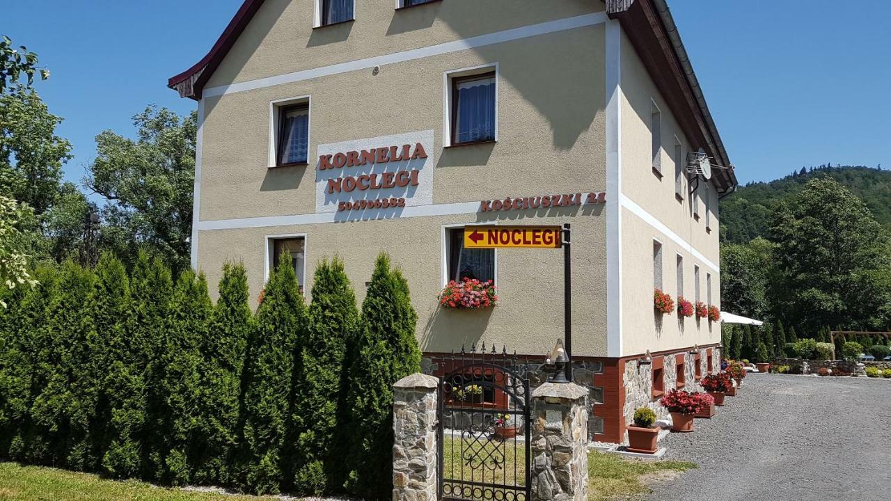 Kornelia Pokoje Goscinne Stronie Śląskie Esterno foto